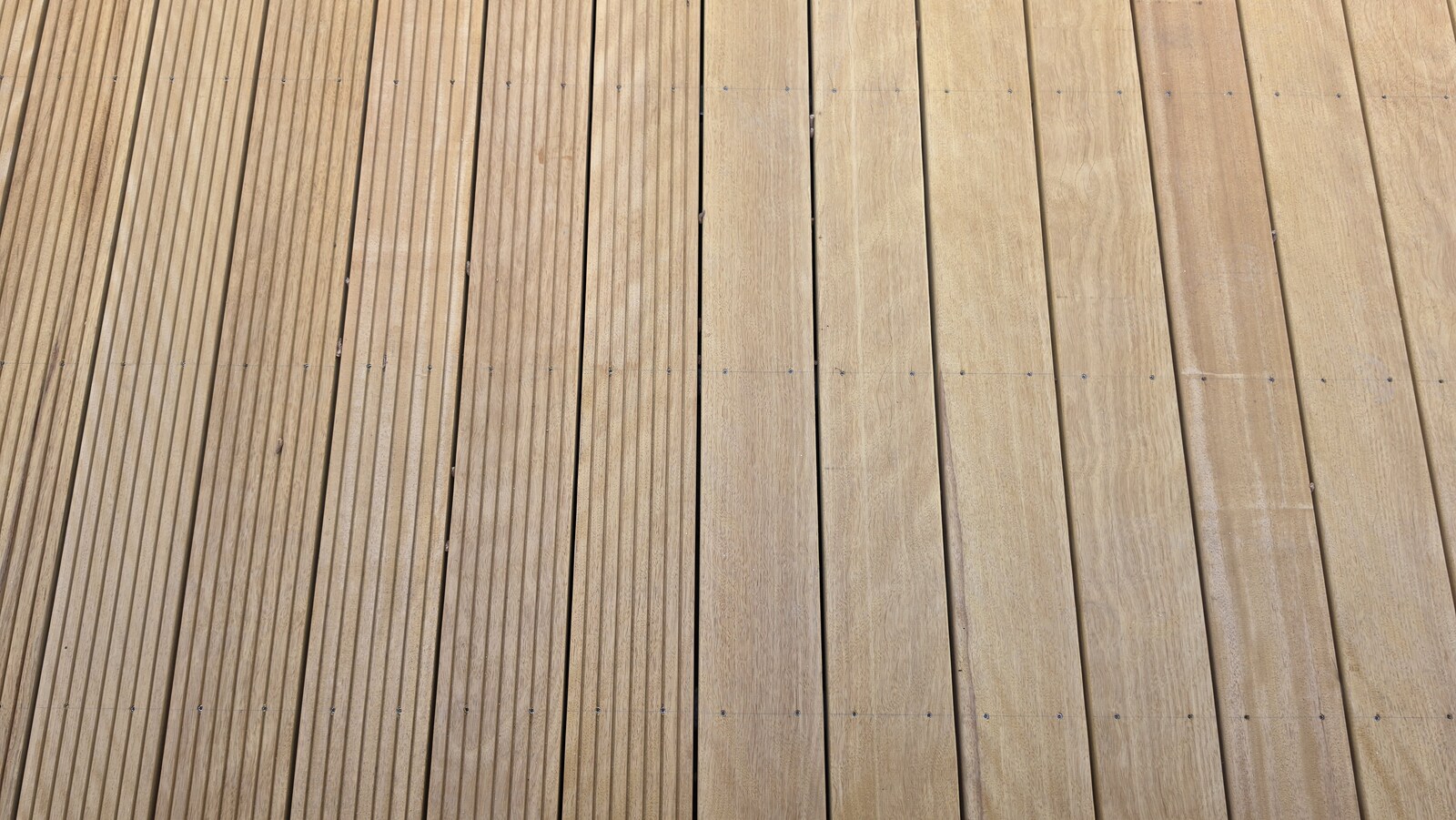 20260626_155702.jpg