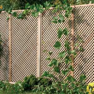 Wooden lattice fence with climbing plants and green foliage at the base.