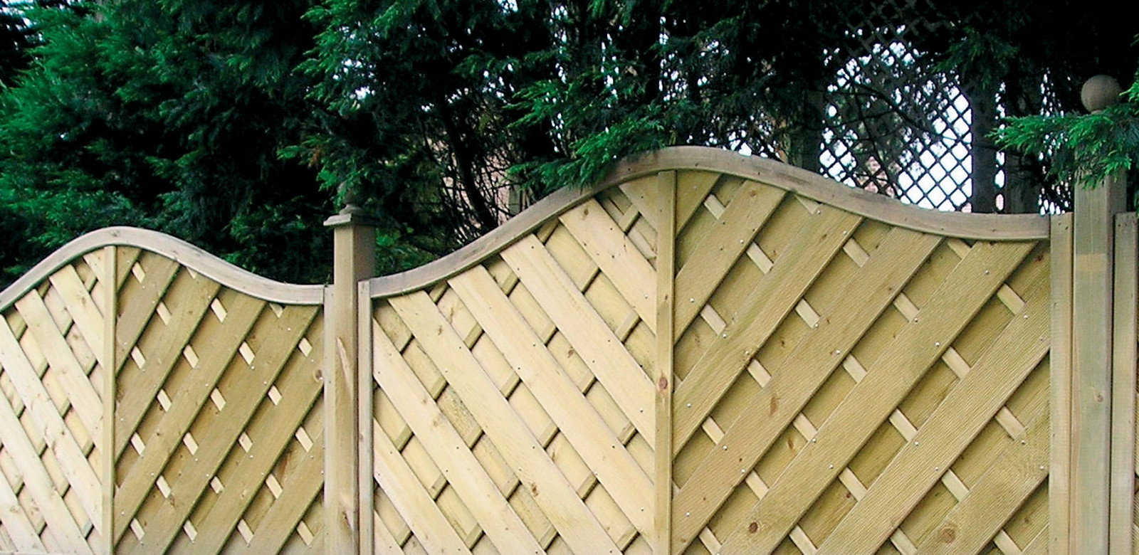 Omega Rails Panel Hampshire Omega Top Fence Panel | Products | Fountain Timber