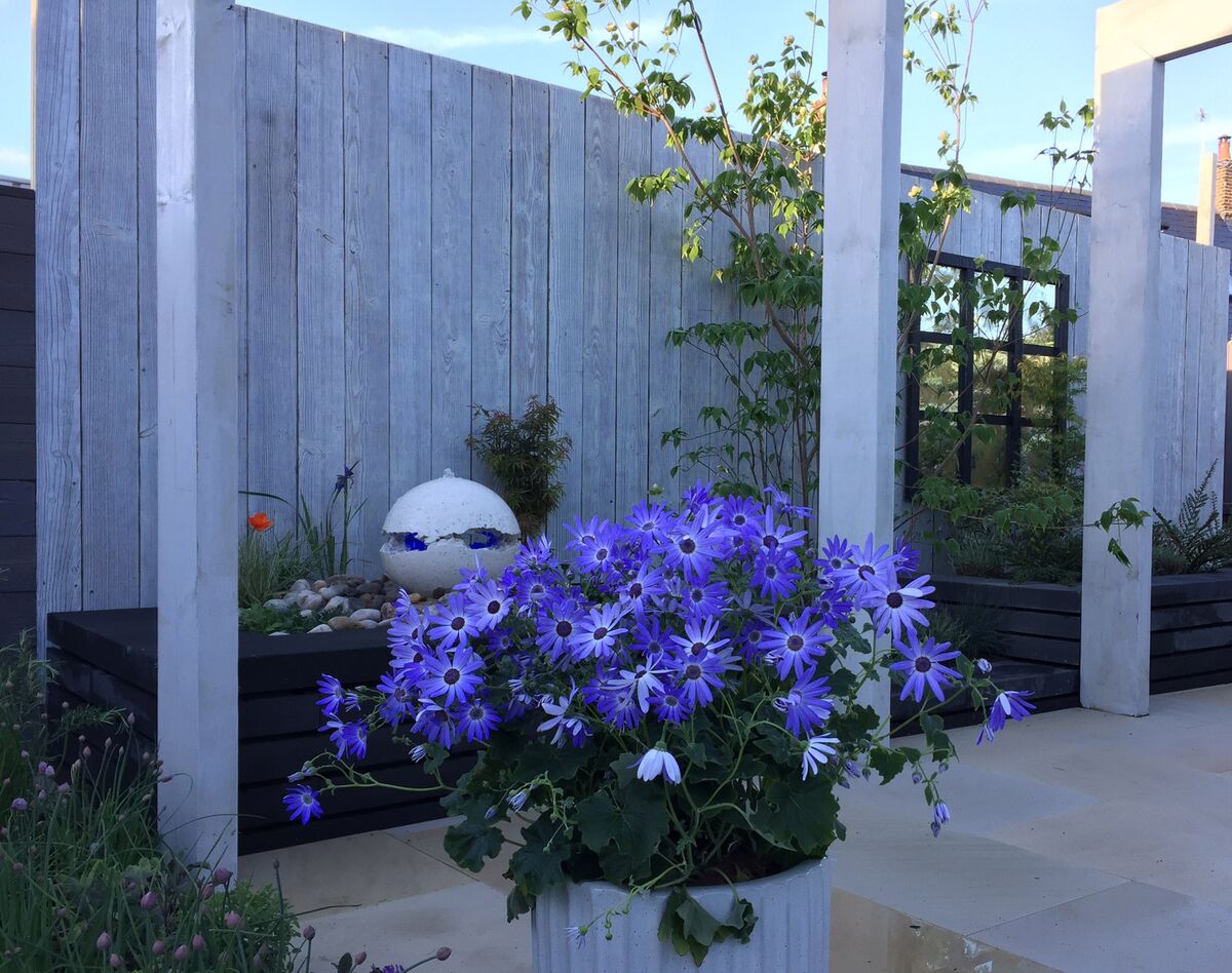 Mountain_and_driftwood_external_2 web.jpg