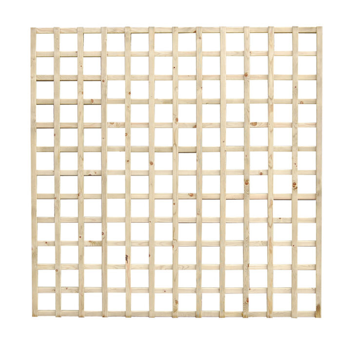30082 Latin  Square trellis.jpg