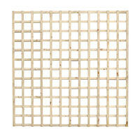 30082 Latin Square trellis.jpg
