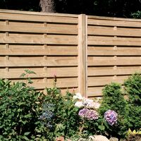 31017 Cheshire panel -original pic.jpg