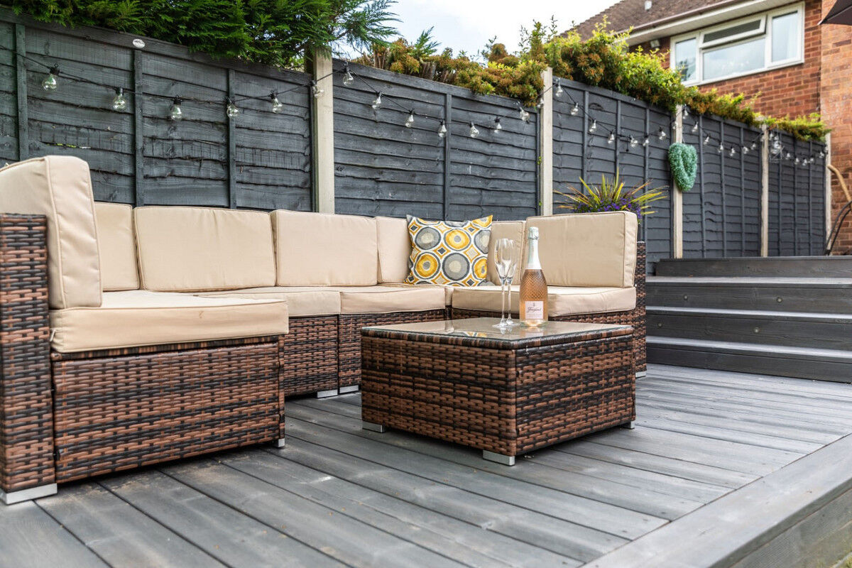 Dolphin_Healy_(Large)- web.jpg