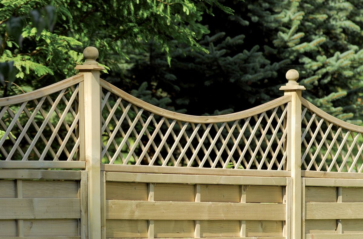 norse  concave web.jpg