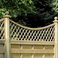 norse  concave web.jpg