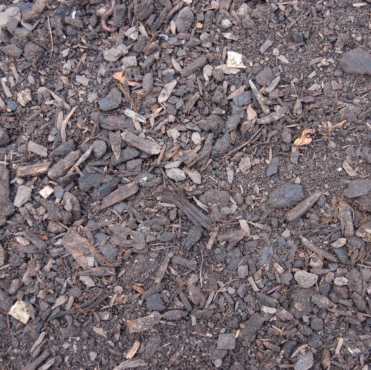 50002 - Composted Bark -WEB.jpg