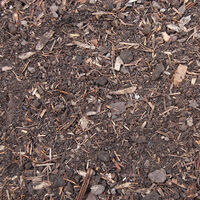 50007 - Bracken Down WEB.jpg