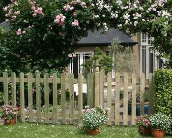 Picket Fencing
