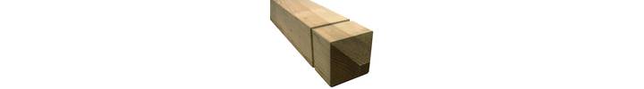 60024 Patrice Newel.jpg