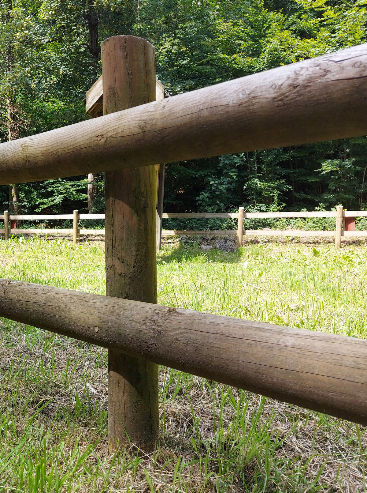 Post and rail web.jpg