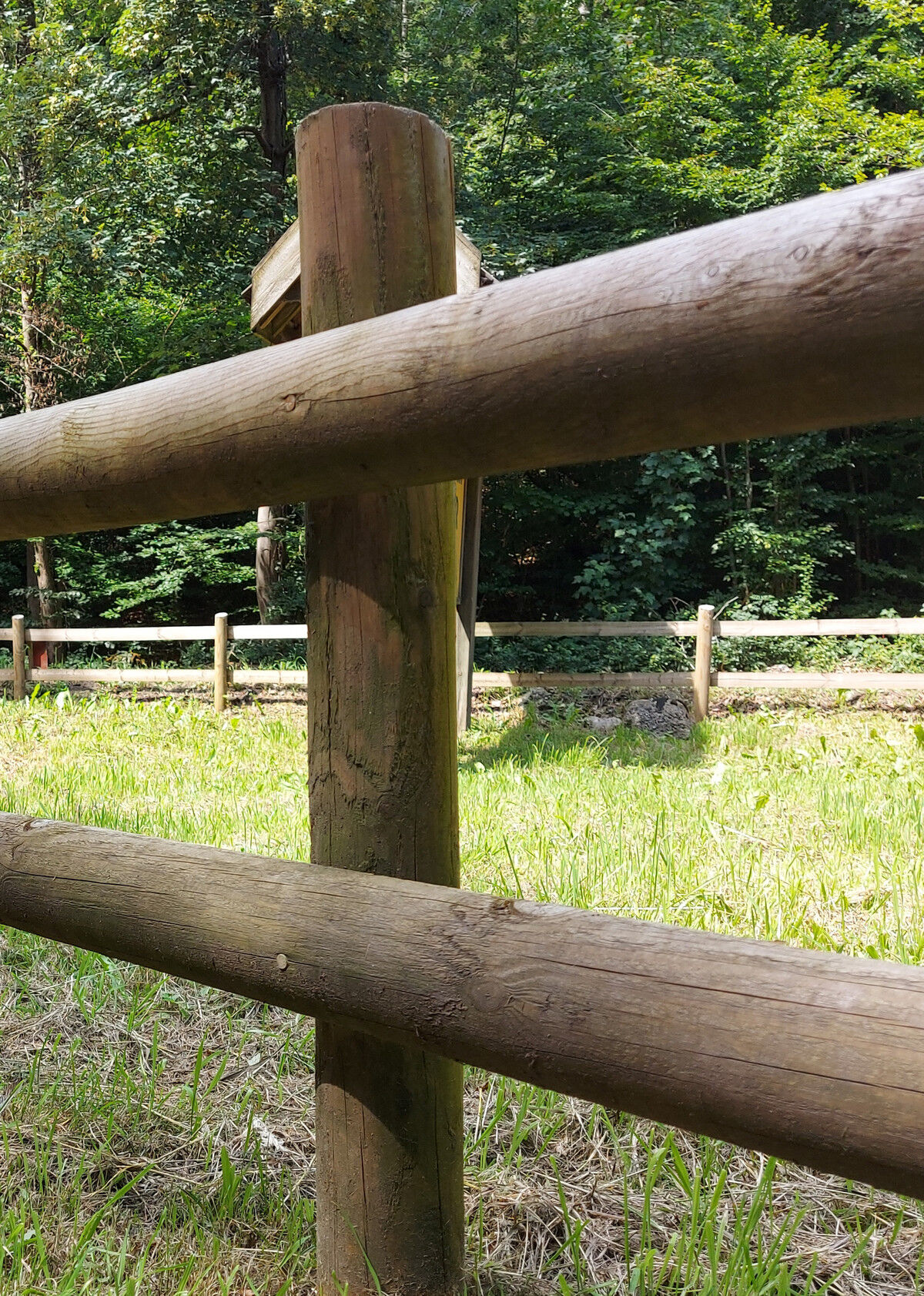 Post and rail 2 web.jpg