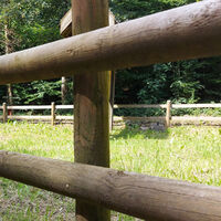 Post and rail 2 web.jpg