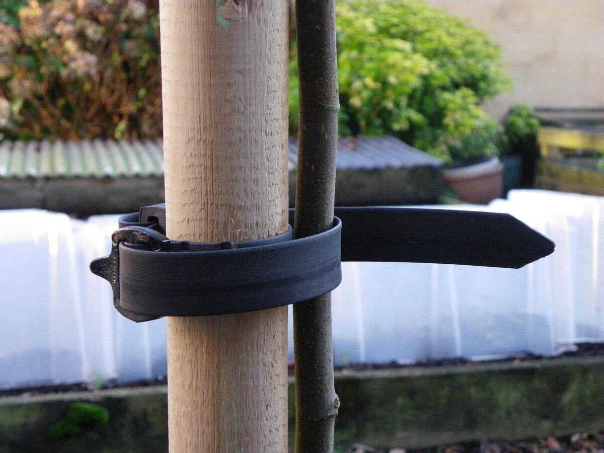 84118 - Tree tie.JPG