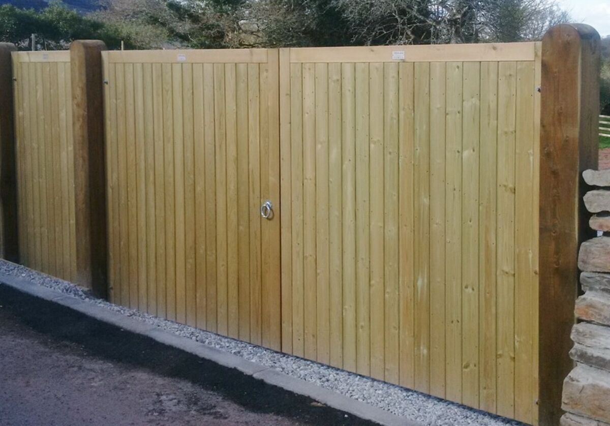 Aberdeen no ears web.jpg