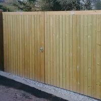 Aberdeen no ears web.jpg