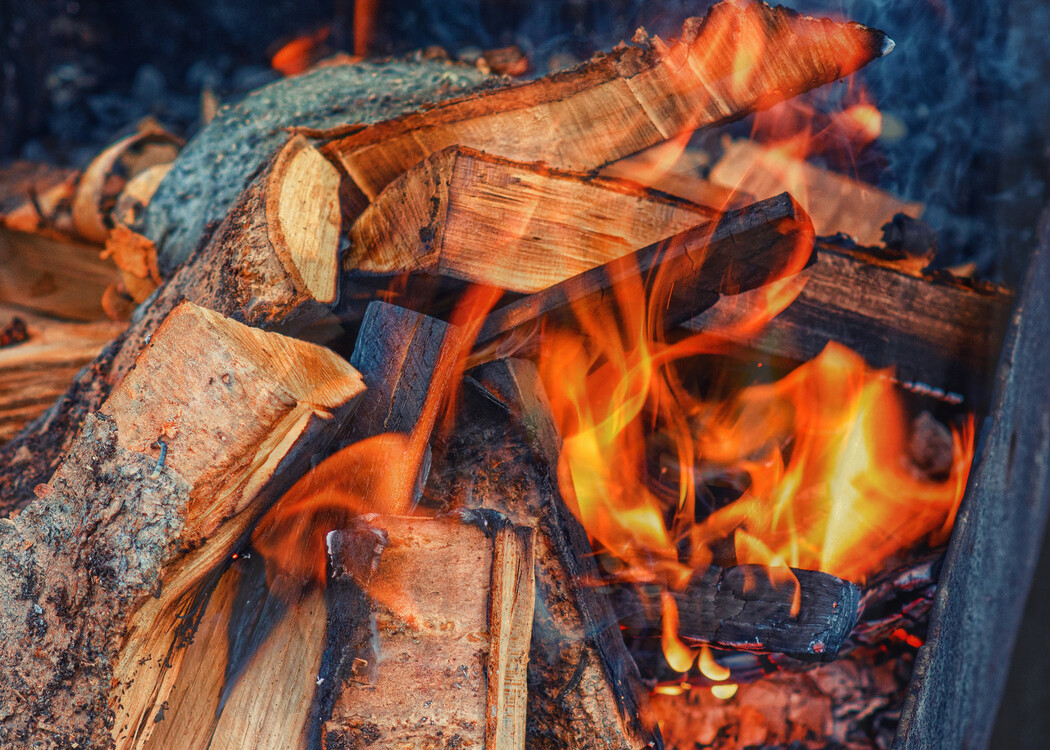 Choosing Your Firewood: Hardwood vs Softwood