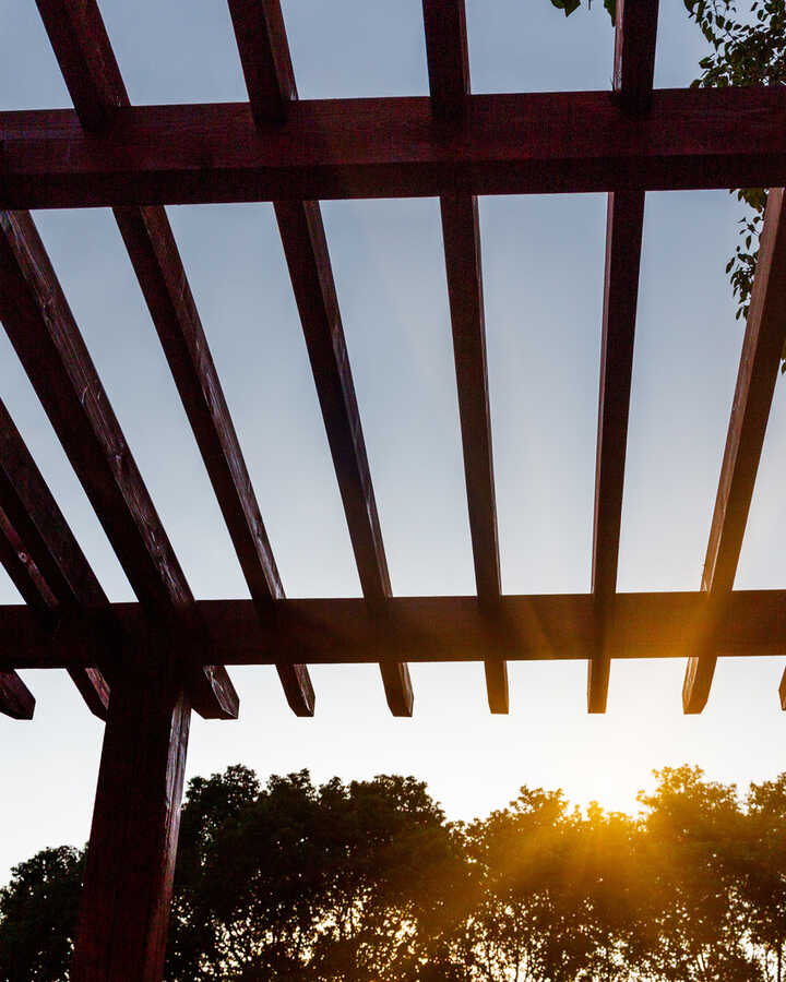 View of a wooden pergola with sunlight shining through, framed by trees.