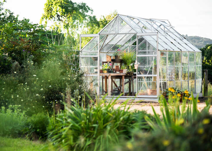 Getting the Most Out of Your Greenhouse