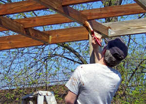 A person applies wood preserver to a garden pergola while standing on a ladder outdoors.