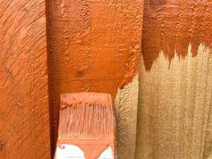 Featheredge fence partially painted with orange paint and an unused paintbrush.