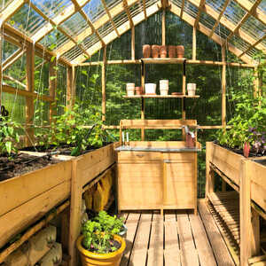 A bright greenhouse filled with plants in wooden beds and a central shelf.