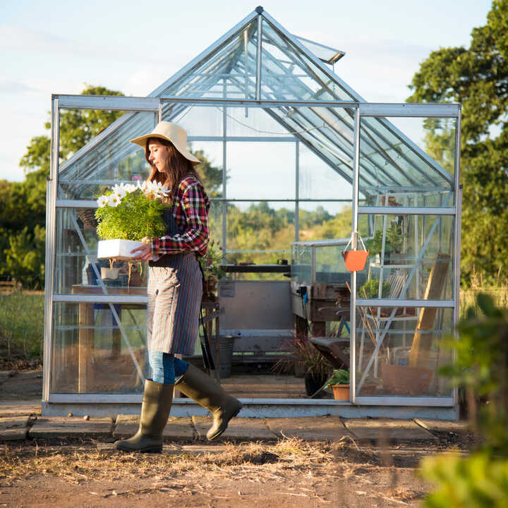 Person carrying a potted plant near a greenhouse in a sunny field.