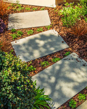 Stone pathway surrounded by plants and mulch in a garden.