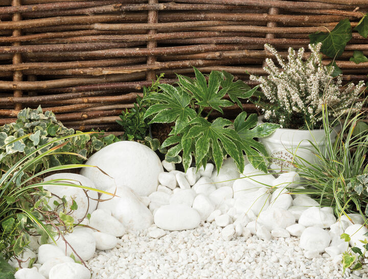 Arctic White situ.jpg