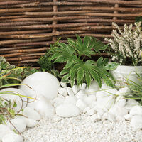 Arctic White situ.jpg