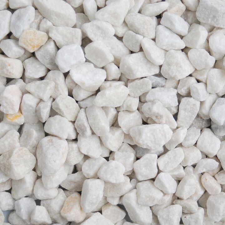 Artic White (dry).jpeg