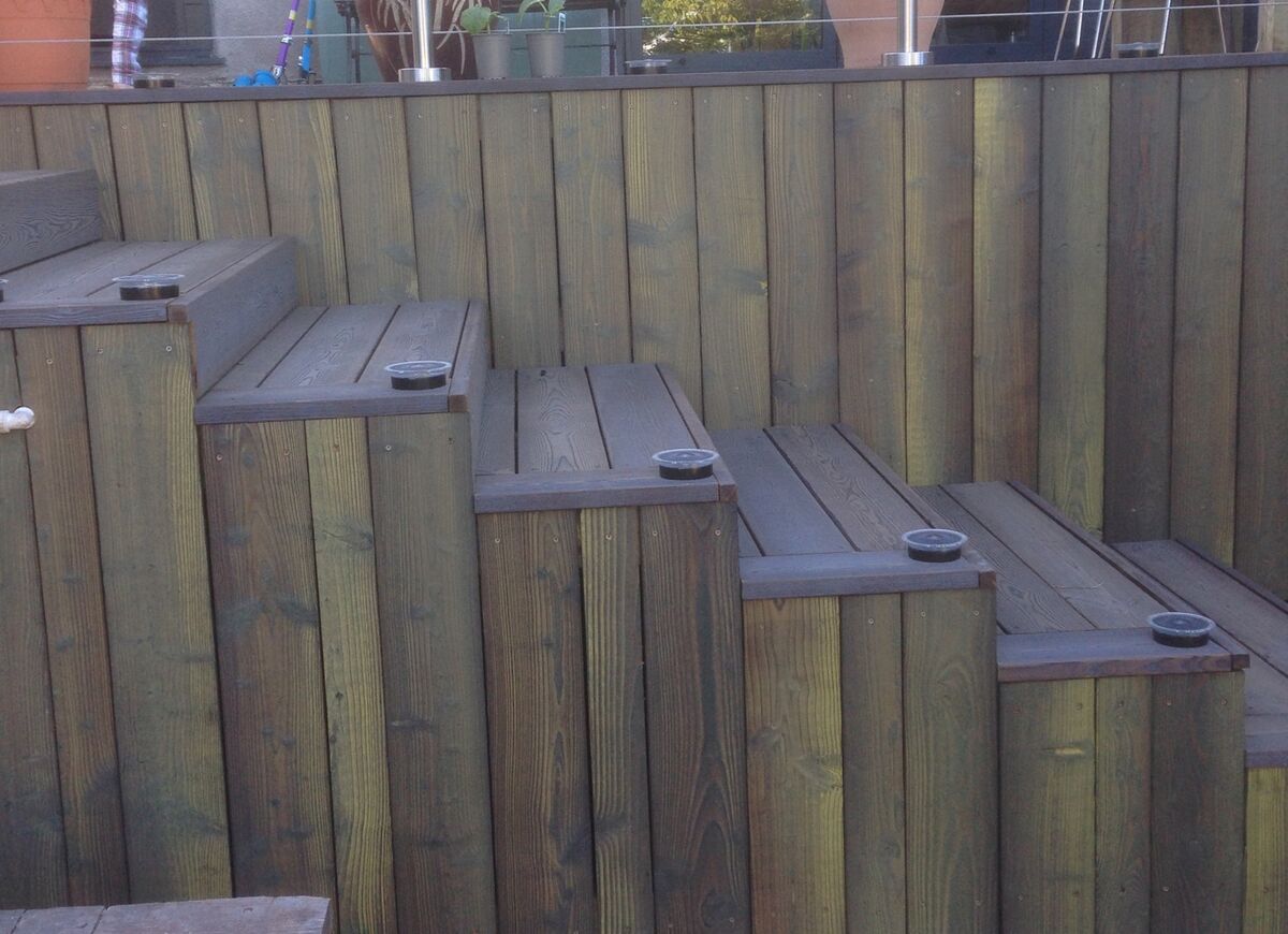 Roots Landscaping Sunflower.jpg