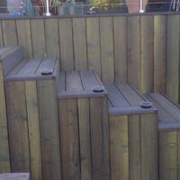 Roots Landscaping Sunflower.jpg