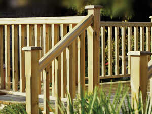 Garden scene with young trees and a wooden fence, autumn leaves on the ground.