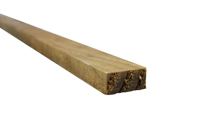 Batten-hi.JPG