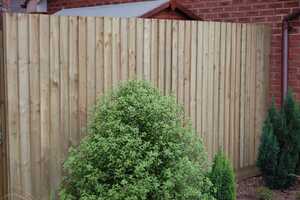 featheredge fence with garden bush