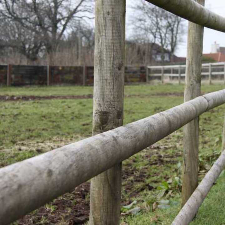 Close-up of a wooden fence posts in a grassy field with trees in the background.