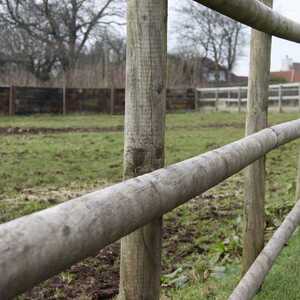 Close-up of a wooden fence posts in a grassy field with trees in the background.