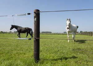 DURA²® Timber Fencing Guide for Agriculture and Livestock