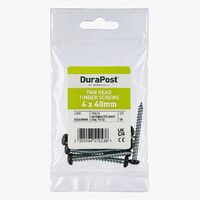 DuraPost® Pan Head Timber Screws 40mm (Bag 10)-Bag.jpg