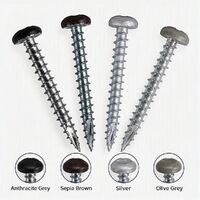 DuraPost® Pan Head Timber Screws 40mm (Bag 10)-Display.jpg