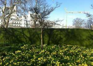 site hoarding in green smartply siteprotect