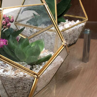 Eco Shells - Terrariums_LS WEB3.jpg