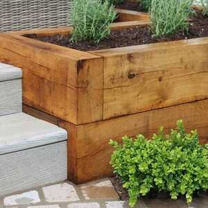 Green oak sleeper raised bed beside stone steps with small green plants nearby.