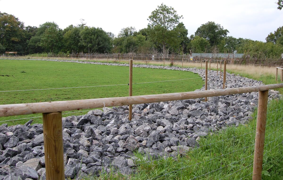 Half Rail and post web.jpg