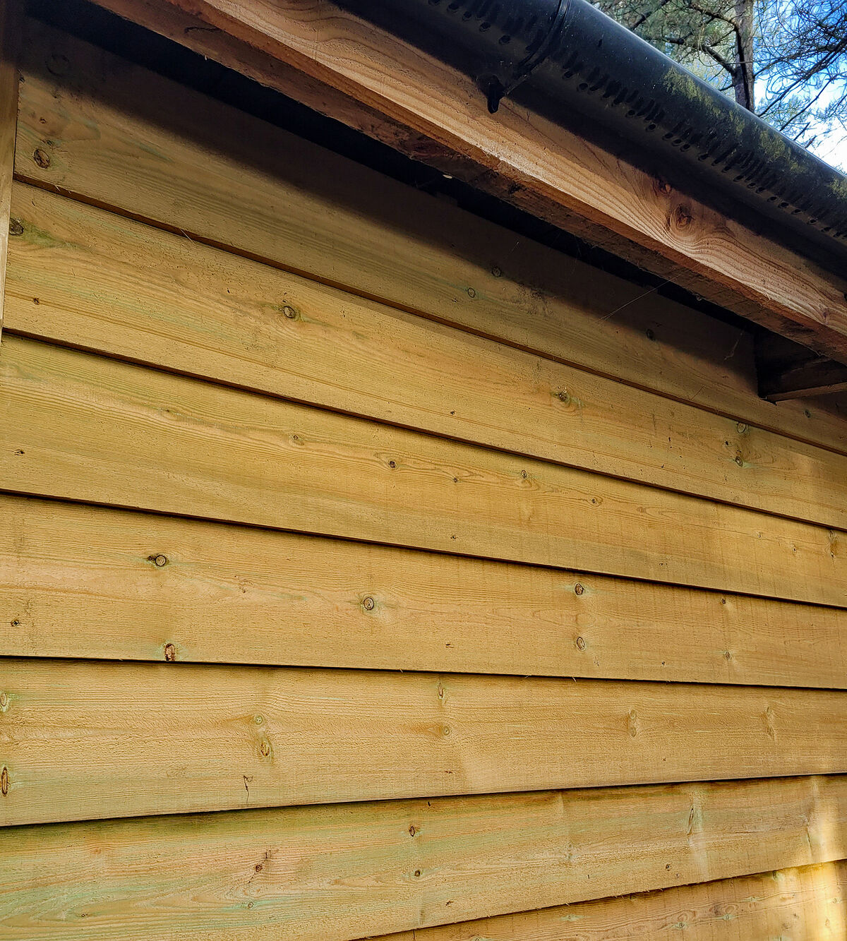 F-Edge-rebated- 2.jpg