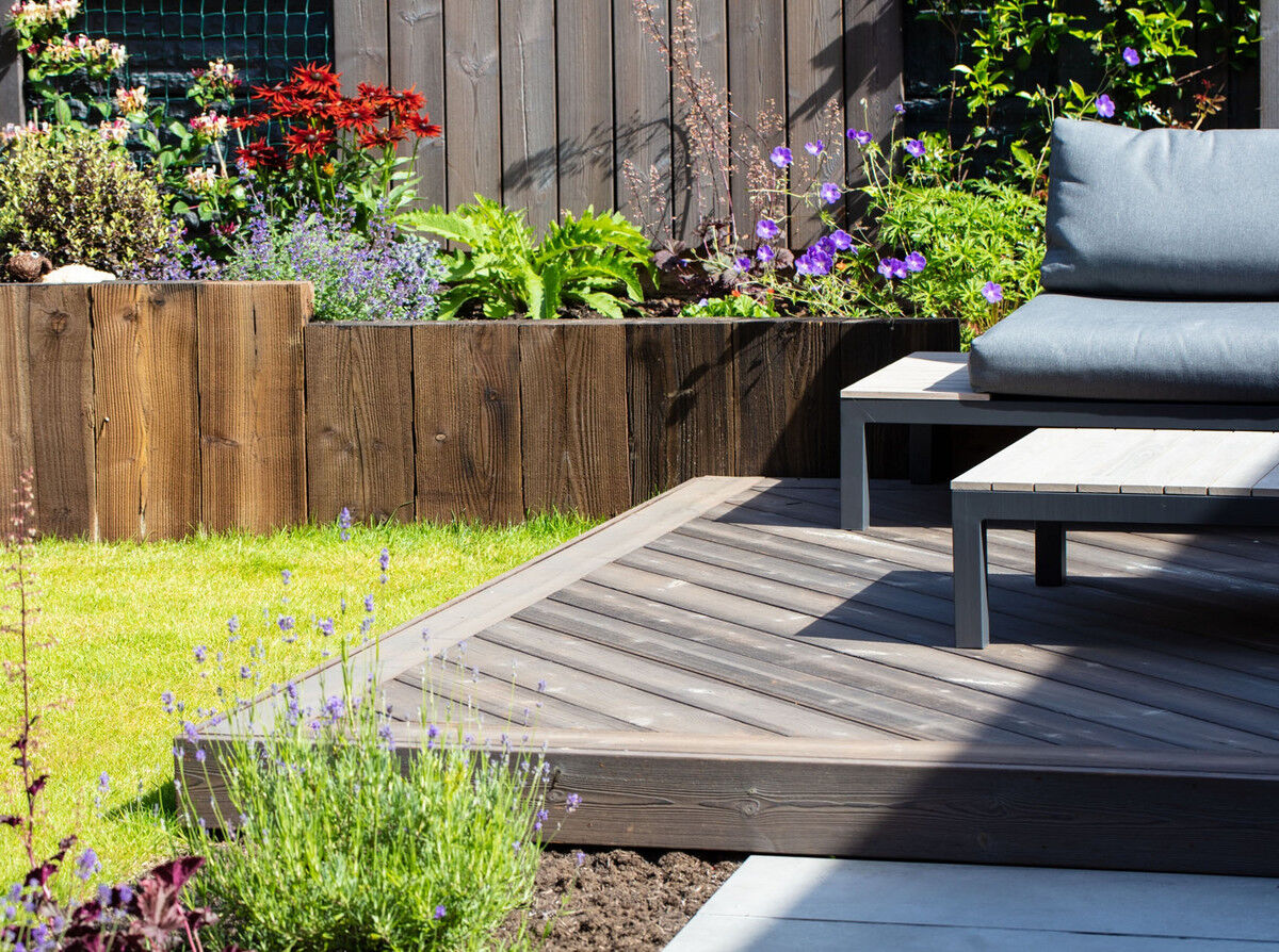 IRO Dolphin2 -web.jpg