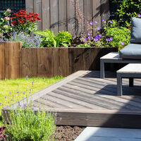 IRO Dolphin2 -web.jpg