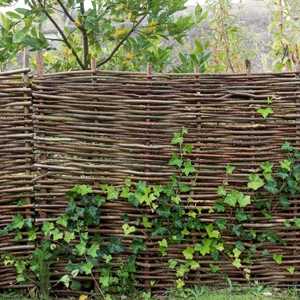 natural hazel fence panel