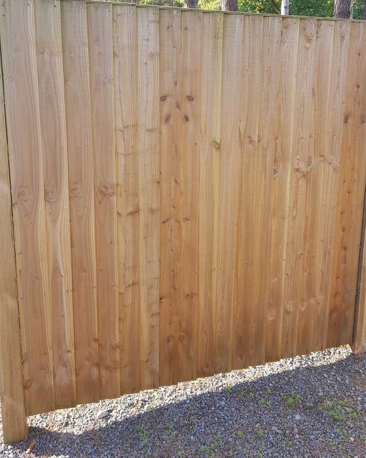 Pressure Treated Feather Edge Fence Panel